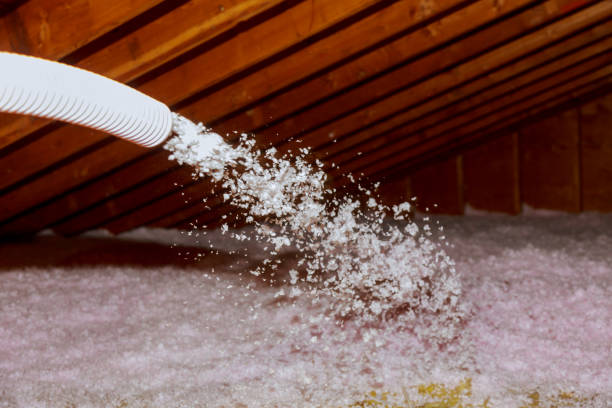 Best Best Insulation Companies  in Surf City, NC
