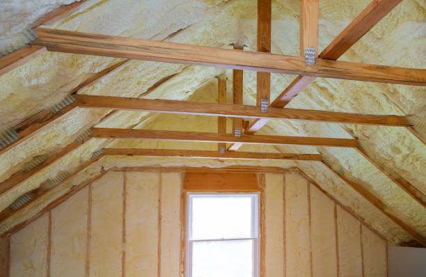 Best Insulation for New Construction  in Surf City, NC