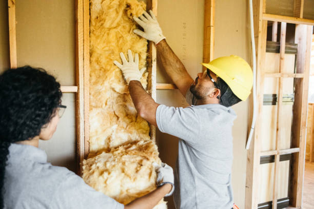 Best Fiberglass Insulation  in Surf City, NC