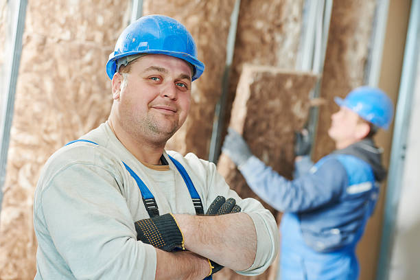 Best Energy-efficient Insulation  in Surf City, NC