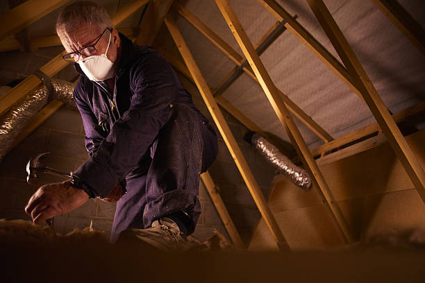 Best Professional Insulation Contractor  in Surf City, NC