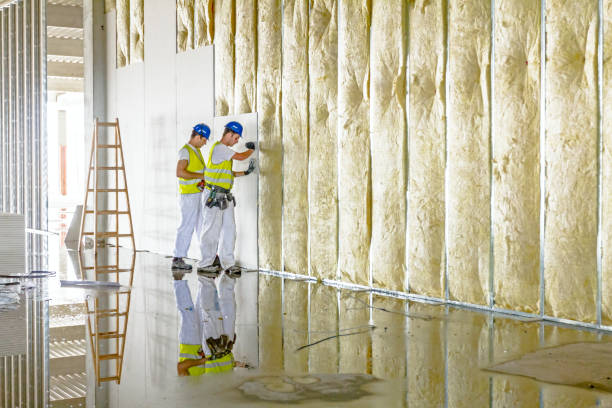 Best Affordable Insulation Services  in Surf City, NC